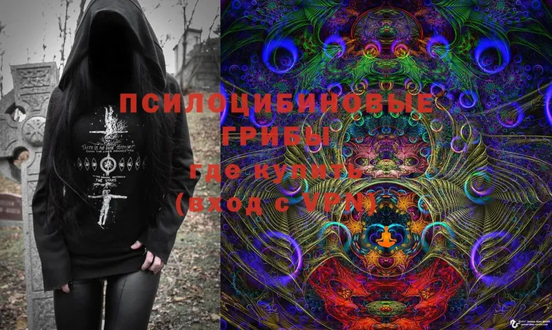 shop телеграм  Боровичи  Галлюциногенные грибы Cubensis 